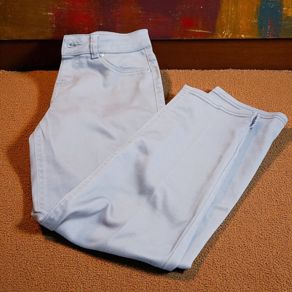 Nygard  Light Gray Slim Ankle Pants | Size 6 | Stretch Pull-On Style